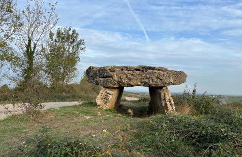 Gite Entre Causse et Vallon, tout confort pour 4 personnes dans grange rénovée au coeur de l'Aveyron - Photo 26