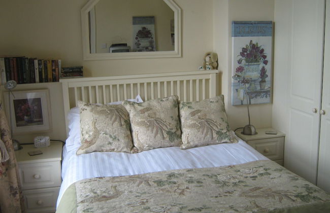 Plas Maenan Country House - Foto 9