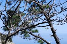 Uphill Opatija Apartment - Foto 26