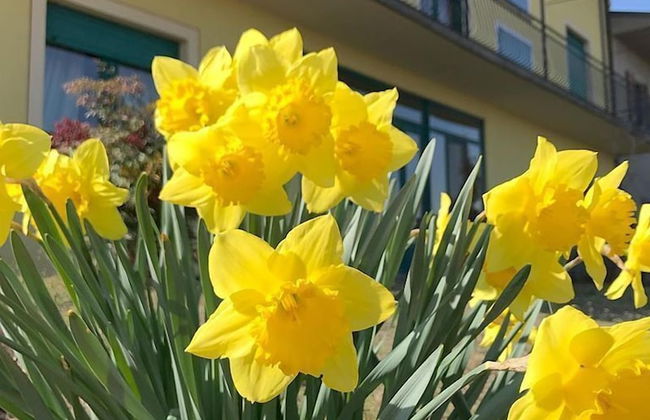 Agriturismo La Biandrina - Foto 53