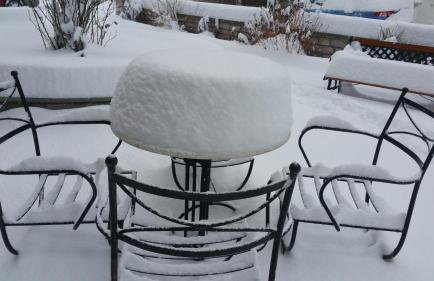 Domus Inn - Photo 43