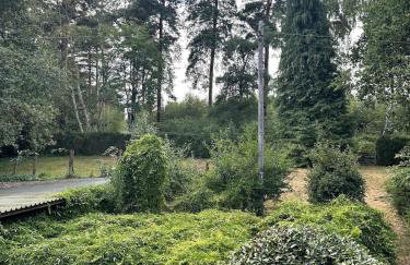 Large family home based at Westerlands Farm - Photo 68