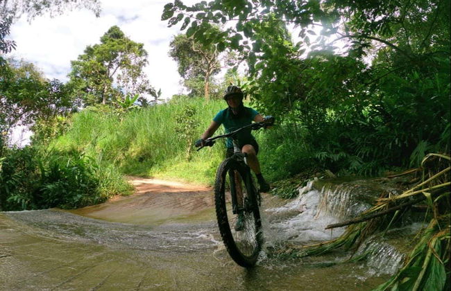 Calarcá Coffee Bike Tour - Photo 3