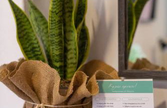 The Florina Park House - Foto 9