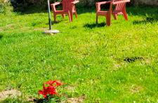 à l'orée du bois - Foto 23