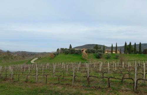 Agriturismo La Bulletta - Foto 58