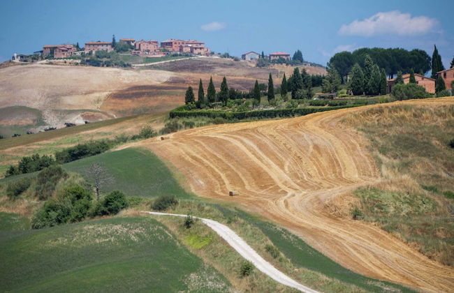 Charming Tuscan Farmhouse - Foto 34
