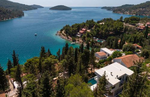 My seagull - Photo 3