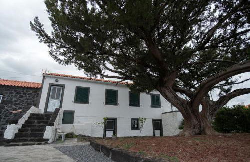 Casa do Bica - Photo 31