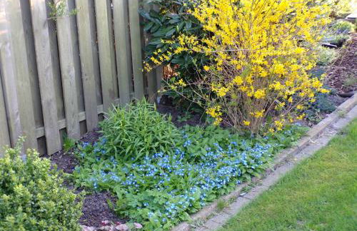 Ferienwohnung Baumann - Foto 20