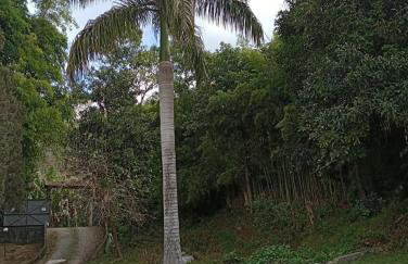 Estúdio Raiz da Mata - Foto 7