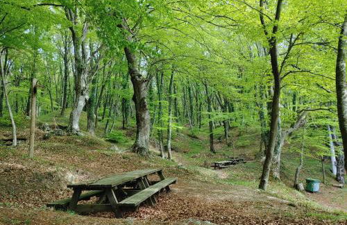 Locazione Turistica Arcobaleno "Family Loft" - Foto 33