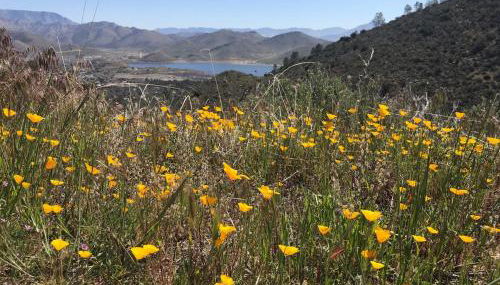 Camp David - Photo 2