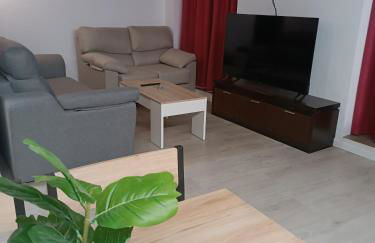 Apartamentos turisticos Ávila Puerta del Puente 1-3 - Foto 8