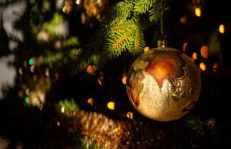 Vinte-Quinta da Boavista - Foto 9