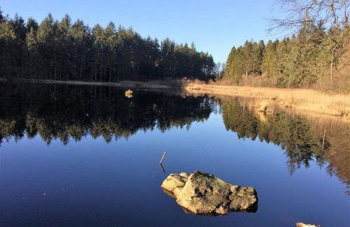 Springfield - Foto 21