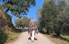 Casa del Contadino Rapale - Foto 36