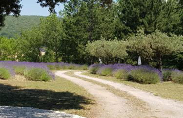 Les Néfliers Gîte - Foto 12