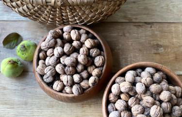 Gîte Dordogne Périgord - Foto 23