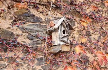 El Descanso de Las Hurdes - Foto 55