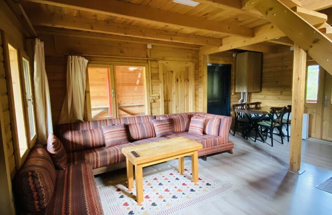 Villa Gencal Ayder - Photo 45