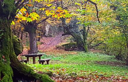 zentral club apartamento protón-jacuzzi - Foto 52