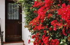 Vue magnifique, piscine privée chauffée et sauna à 10min de Monaco - Foto 29