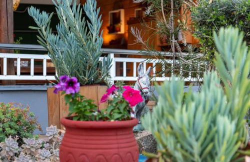 House Niki - Foto 17