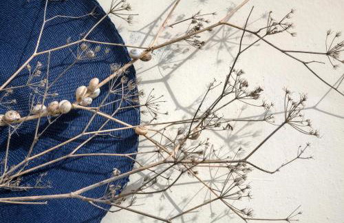 Cala Palme Lampedusa - Foto 64