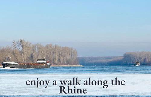 Parterre Lounge mit Terrasse -Nähe Karlsruhe & KIT - ohne Treppen -barrierefreie Dusche - Foto 18