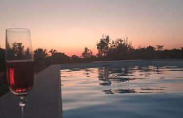 Monte do Rochinha - Foto 10