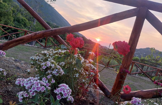 La masseria - Foto 32