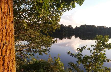 Sidowseetraum - Foto 40