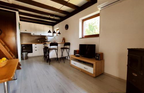 Mrežnica - Zelena oaza II - Foto 12