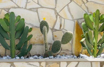 Casa Solaris at Anfi Beach with Private Terrace, Pool & Netflix - Photo 8