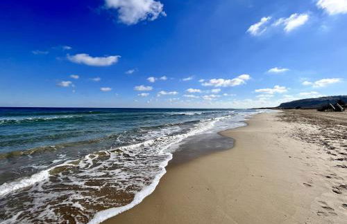 Duplex en la playa - Foto 12