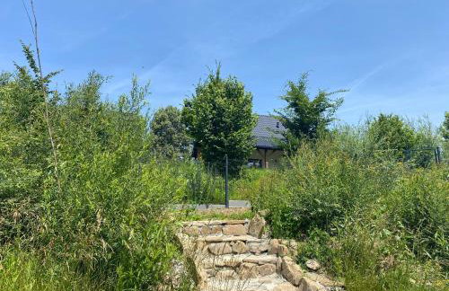 Kasi Polany - Foto 23