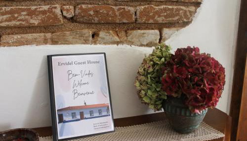 Ervidel Guest House - N2 (km 607) - Foto 5