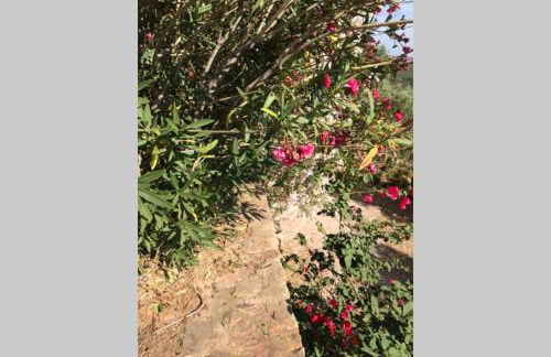 Le Farfalle Appartamento in villa trifamiliare - Foto 17