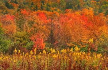 luxury Dear Tryon Cabin by TIEC in Green River Highlands - Foto 33