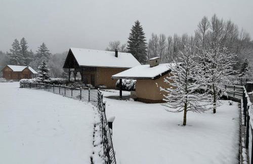 Forest Fairy - Foto 2