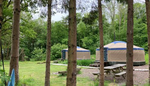Barefoot Yurts - Photo 3, Garden view