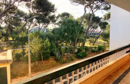 The Crow Seaside I - Foto 12