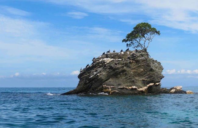 Cayos Cochinos Tour - Photo 4