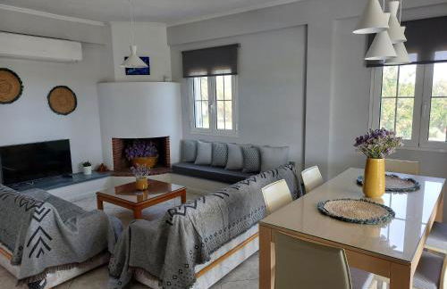 The Three Palms Samos Seaside Villa - Foto 20