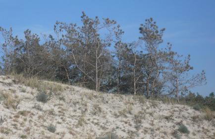 Domek letniskowy - Foto 27