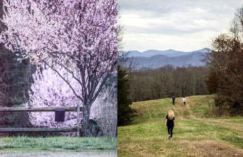 Charming Glamping Rental with Fireplace near Great Smoky Mountains National Park - Foto 19