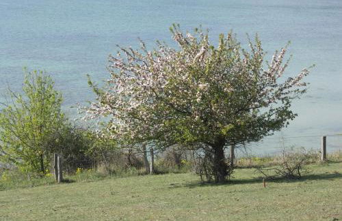 Traumblick und Komfort - lichtdurchflutete 85 qm Wohnung nahe Südstrand Göhren inklusive Schwimmbad und Sauna im AHOI Sellin - Foto 68