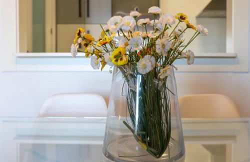 Todimer Celmar - Foto 11