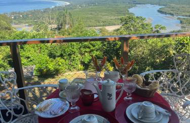 Casa do Roberto Burle Marx - Foto 9